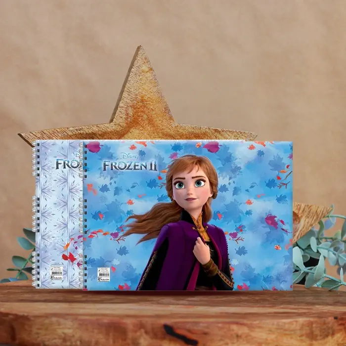 RESİM DEFTERİ 17x25 15YP FROZEN II